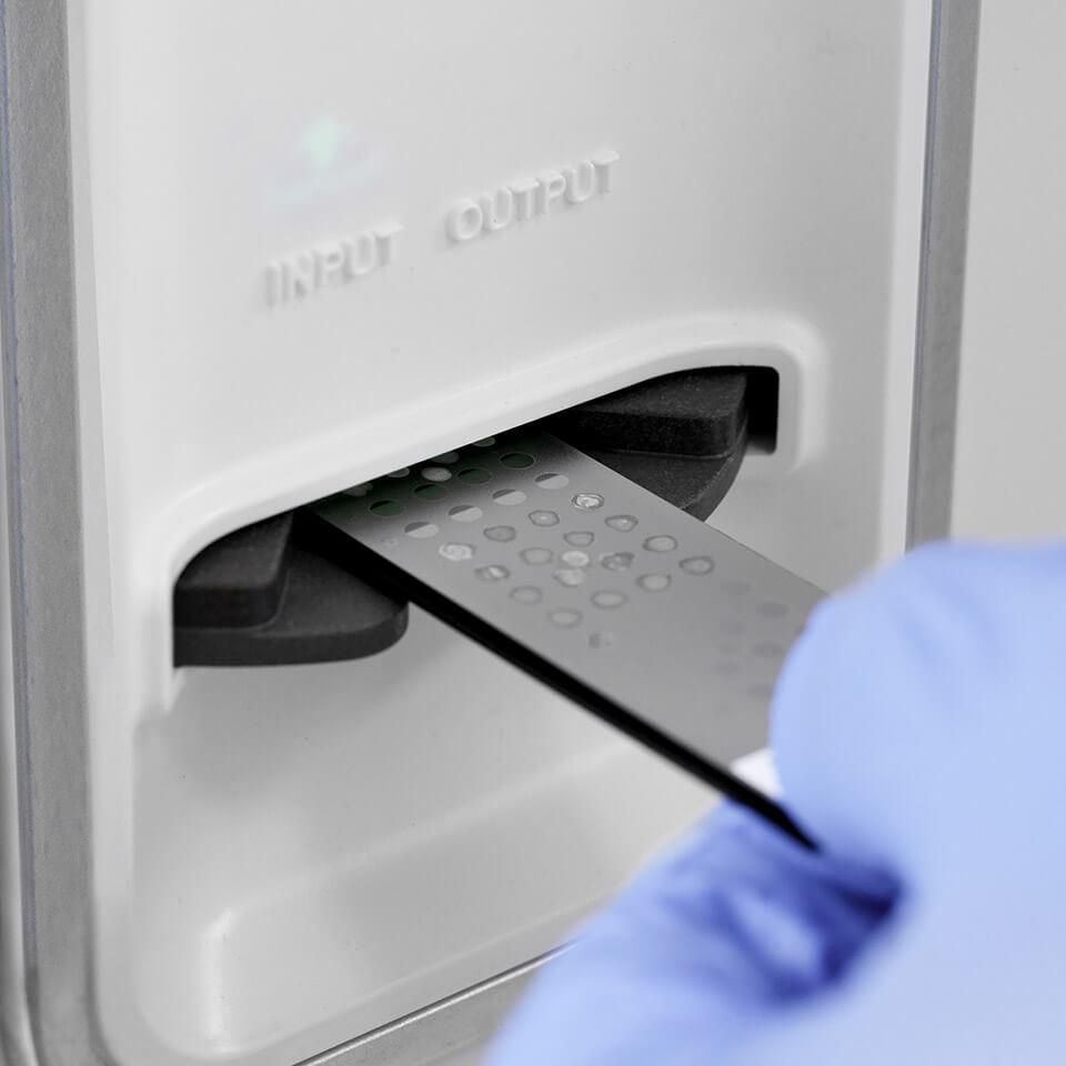 VITEK® MS PRIME | bioMérieux industrial microbiology